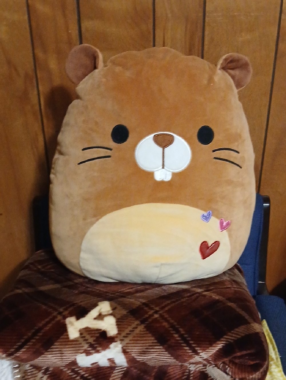 Squishmallows "Chip the Beaver". Valentines Edition